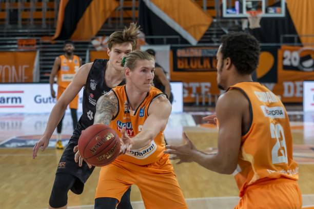 坚持不懈的 坚持不懈的